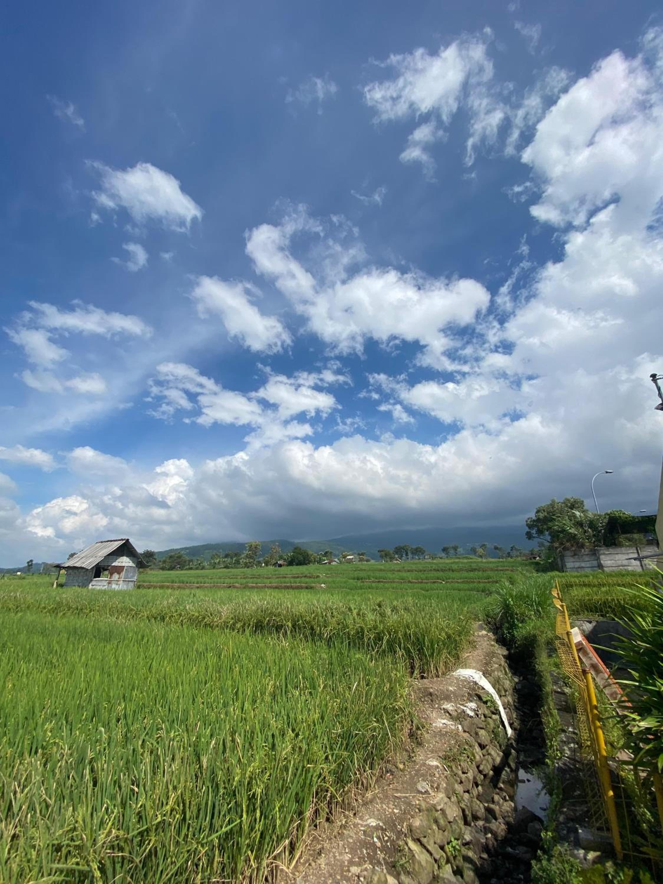 Griya Indah Homestay