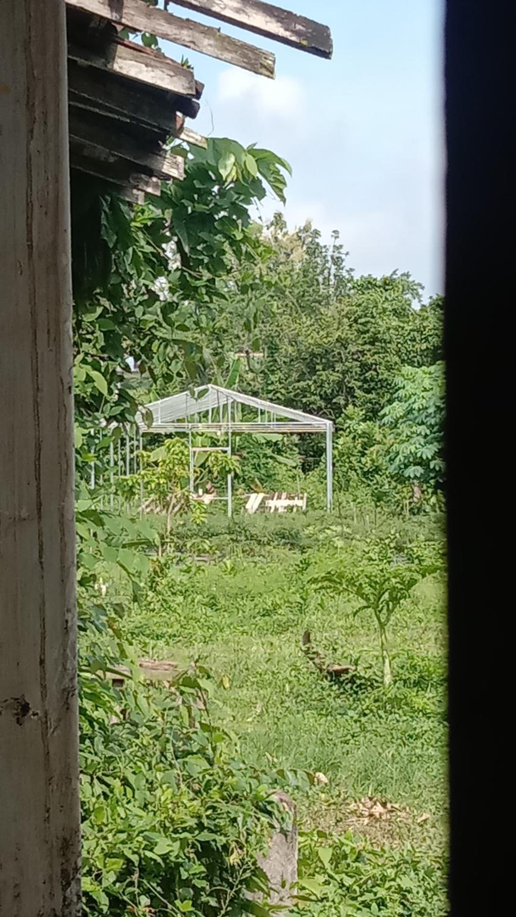 Ben Angler Homestay view 2