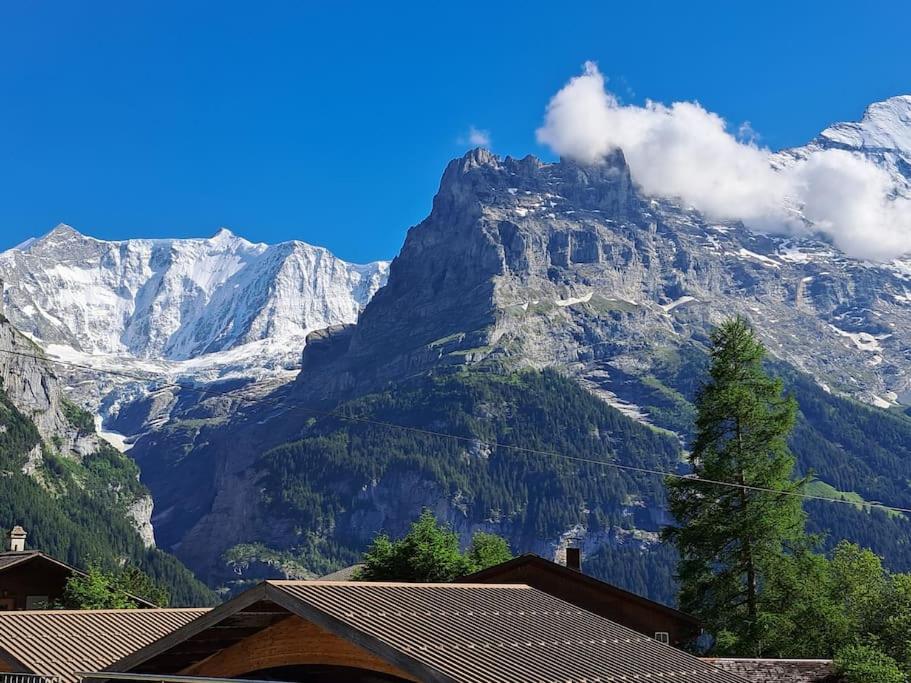 Chalet Engi Apt. 3 for up to 8 People