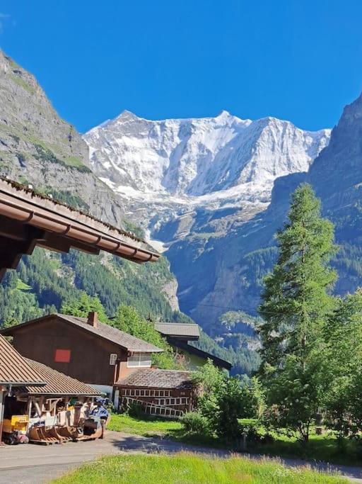 Chalet Engi Apt. 3 for up to 8 People