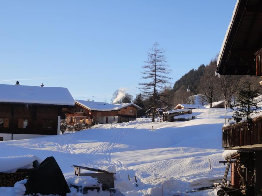 Chalet Engi Apt. 3 for up to 8 People