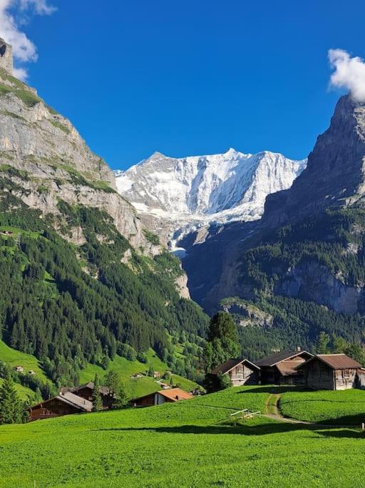 Chalet Engi Apt. 3 for up to 8 People