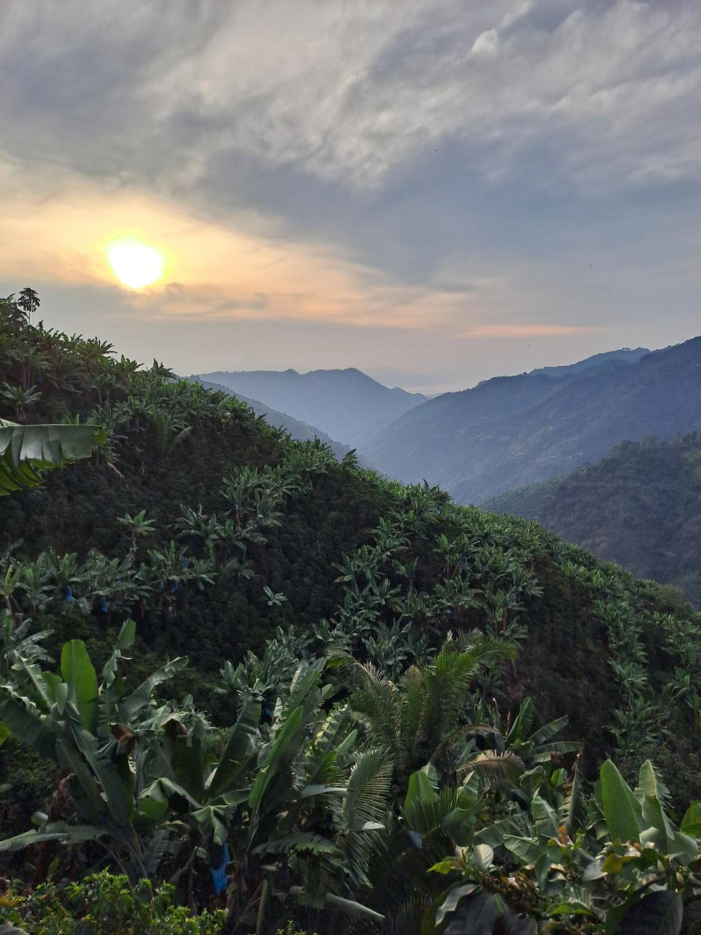 Finca La Manchuria, photo 27