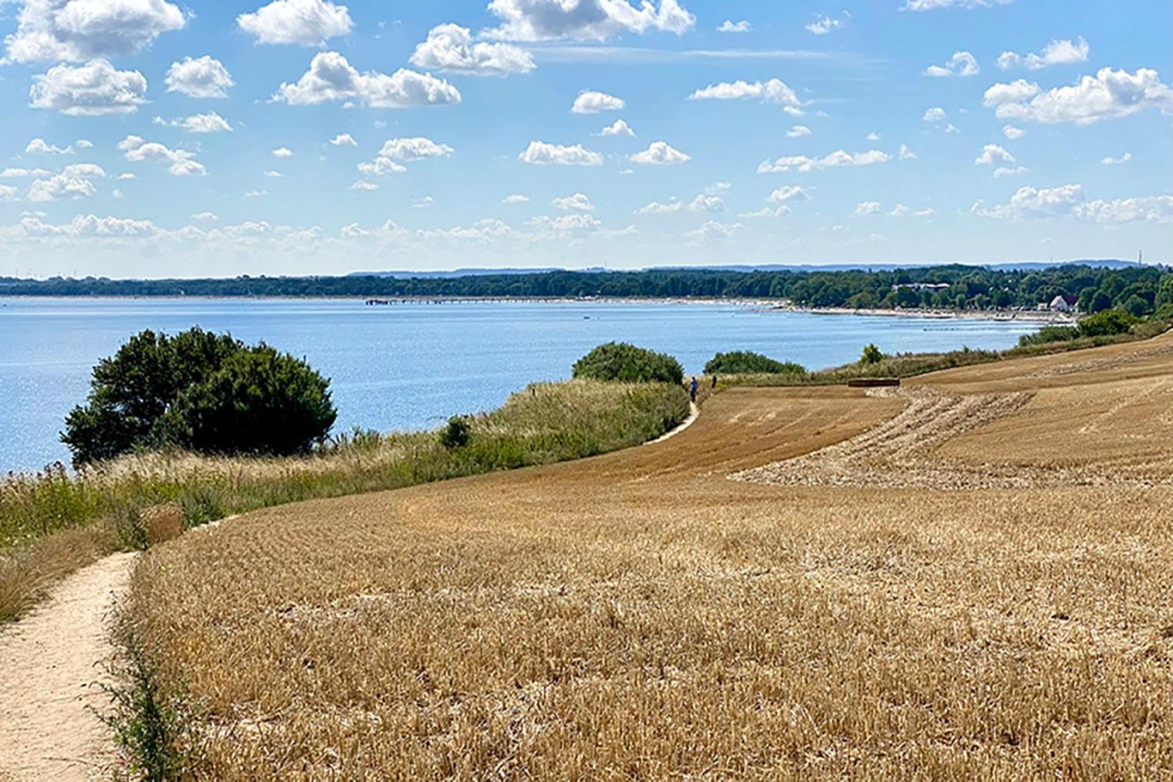 Fewo Horst_ grün.