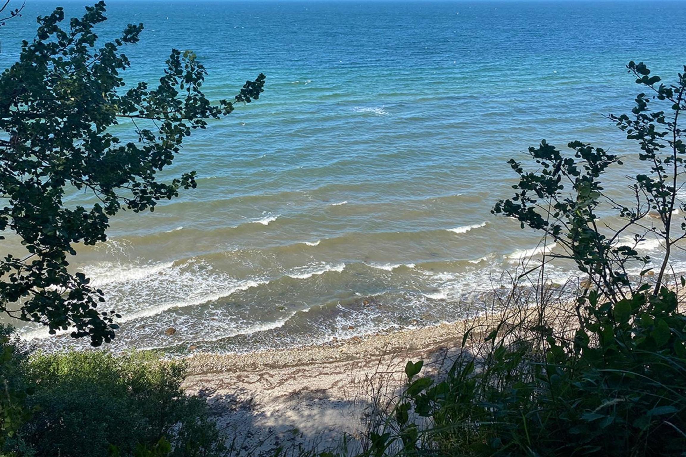 Fewo Horst_ grün.