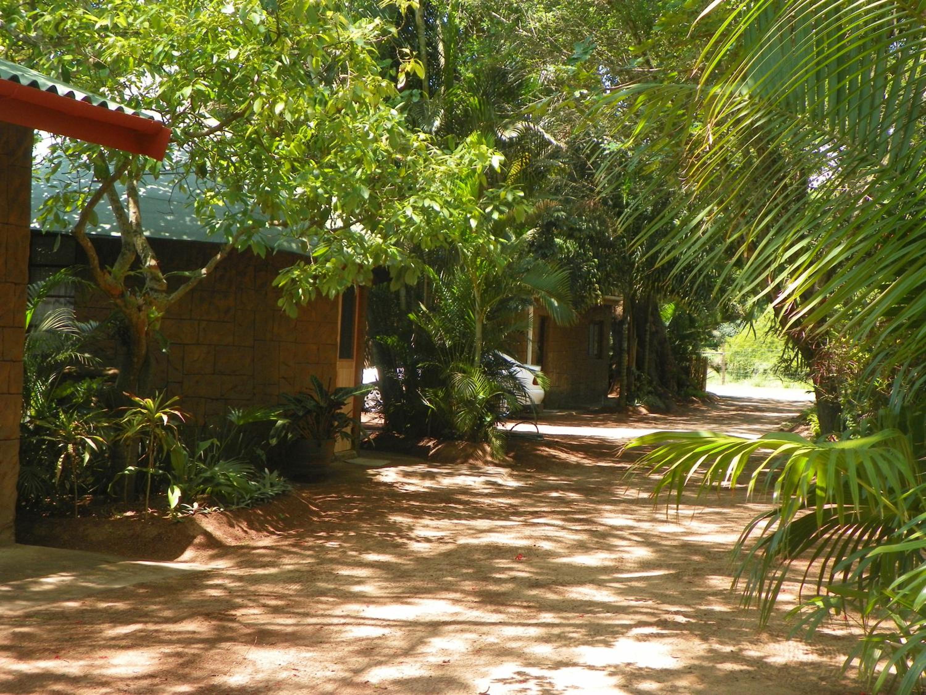 Photo 6