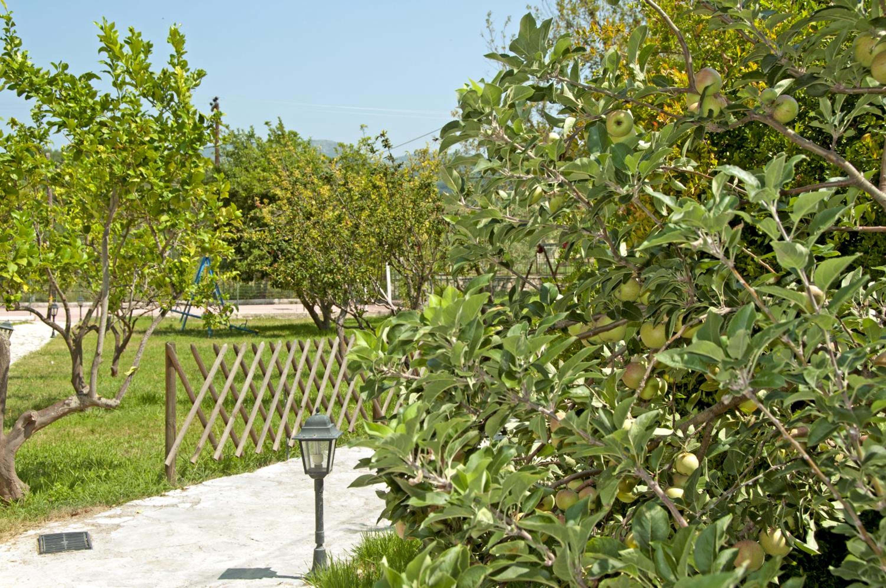children's play area