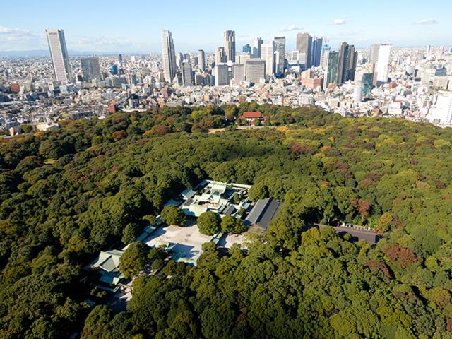 ROMANTIC FLAT IN THE HEART OF SHIBUYA / 7MIN WALK
