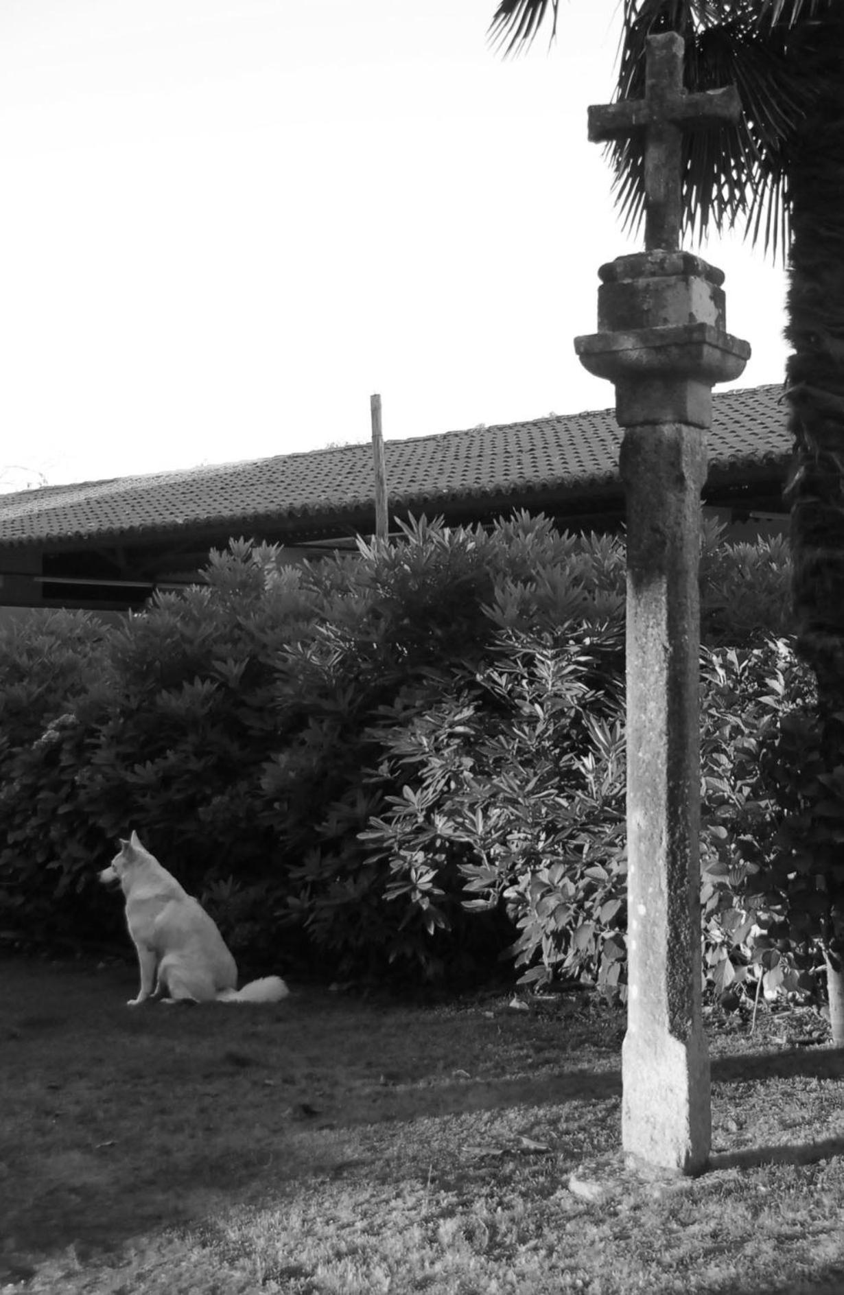Photo 41