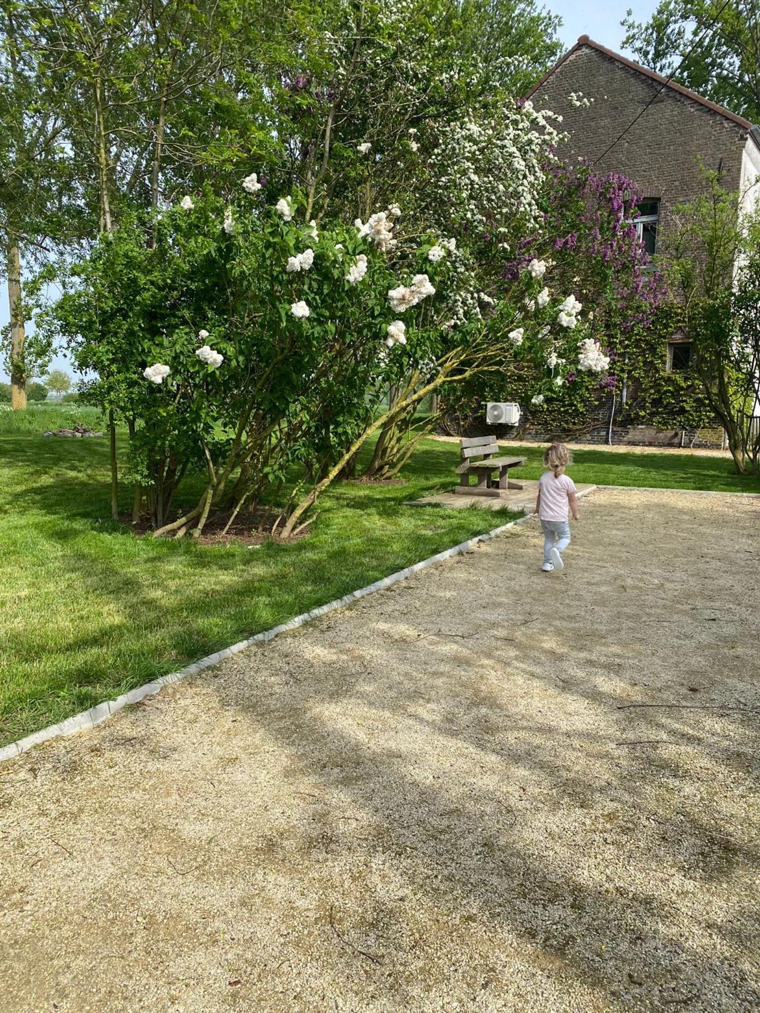 Huisje aan de Schelde