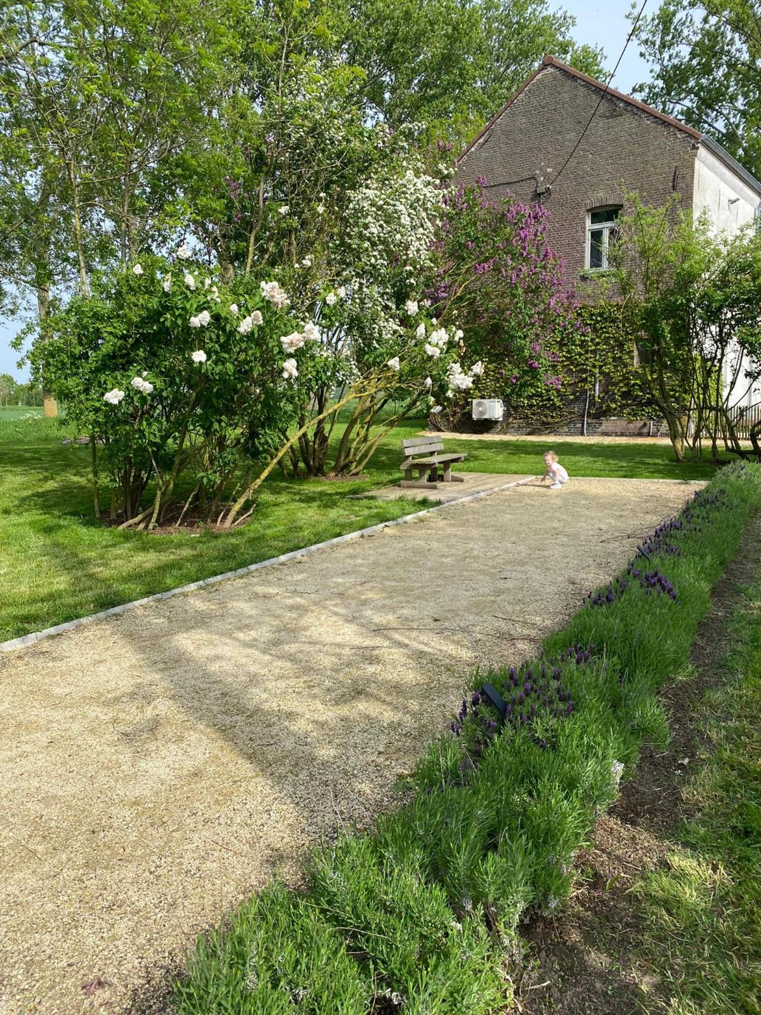 Huisje aan de Schelde