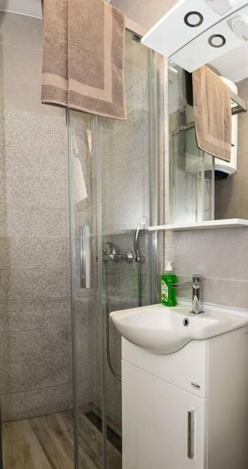 Vujovic Studio Apartment view 4