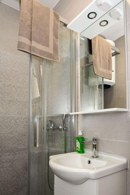 Vujovic Studio Apartment view 5