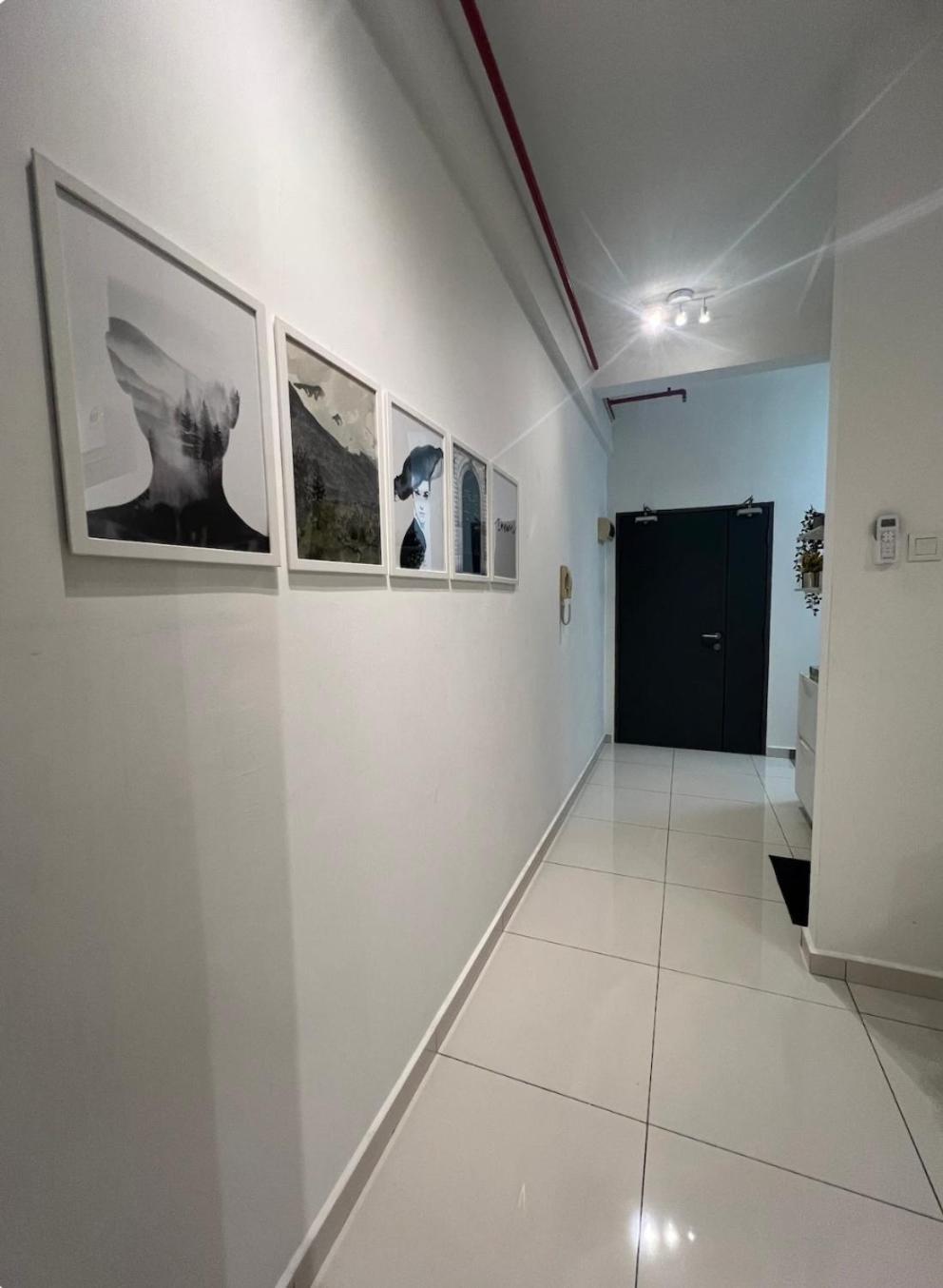 Noah's Studio