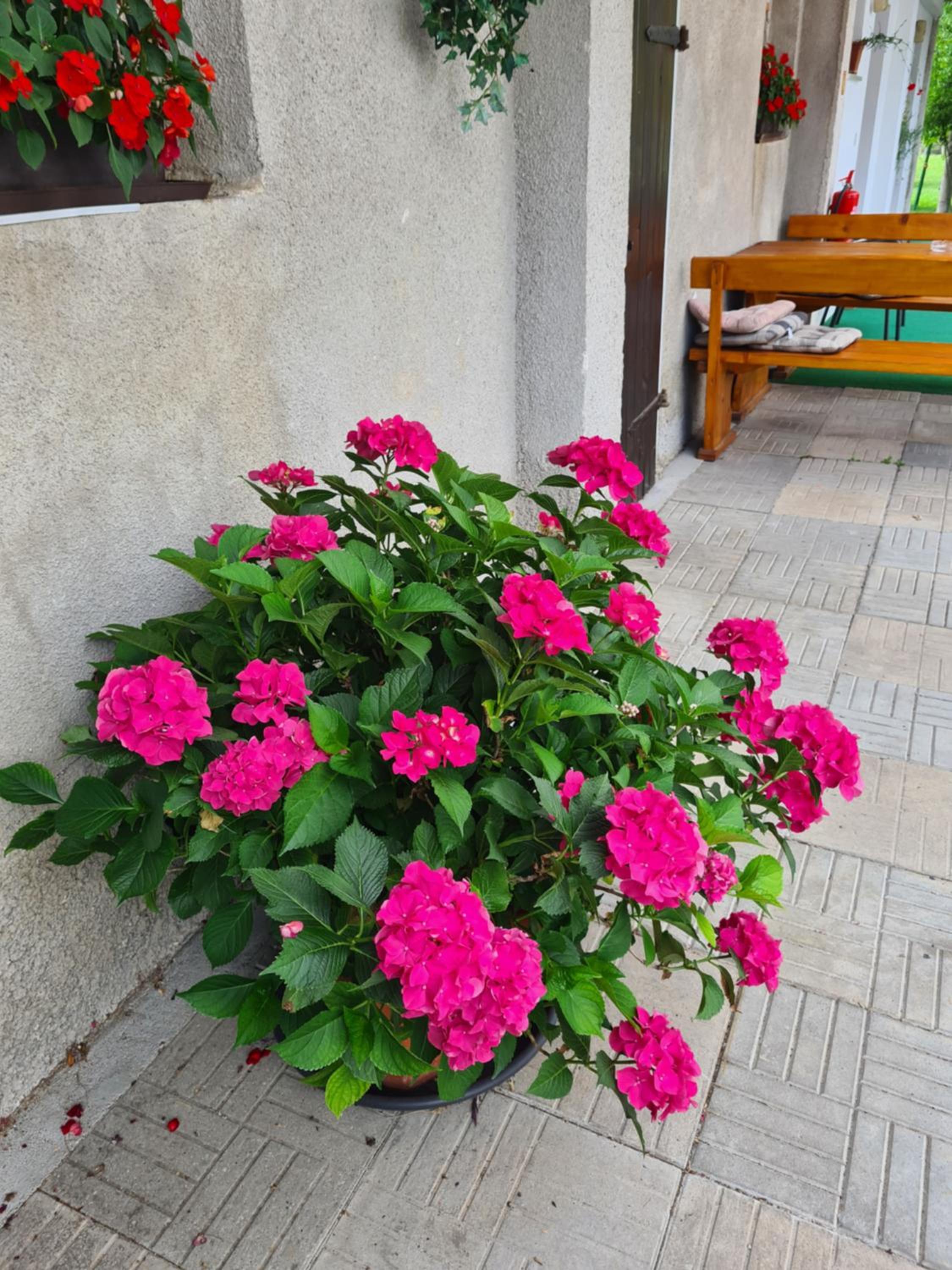 Gostilna Batišt