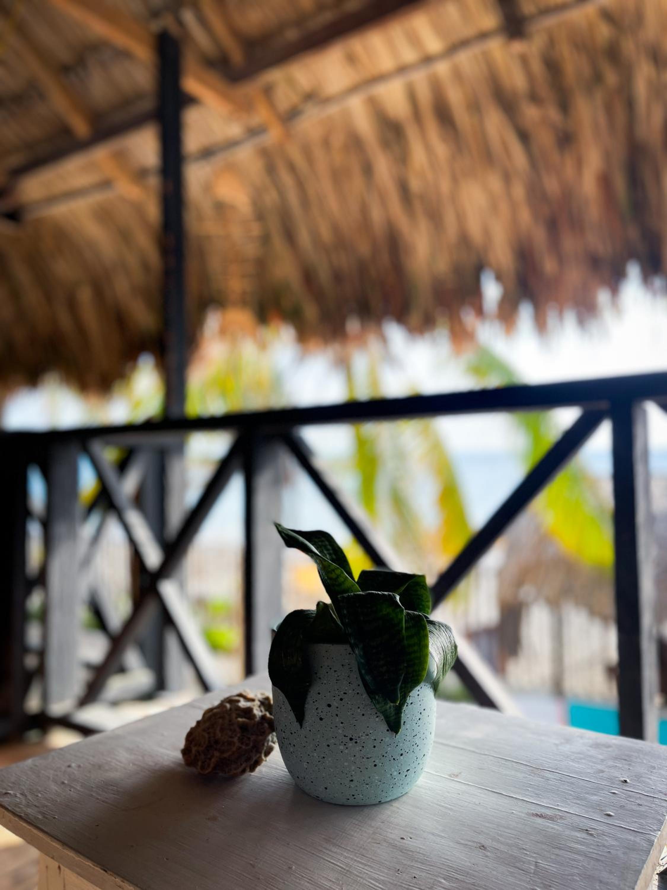 Palenque Beach House