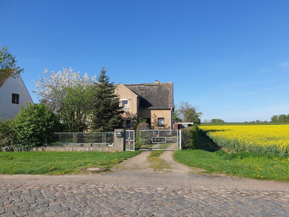 Pension Weitblick
