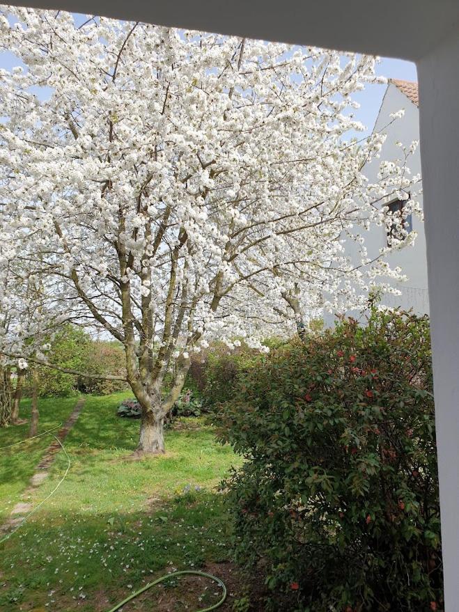 Pension Weitblick