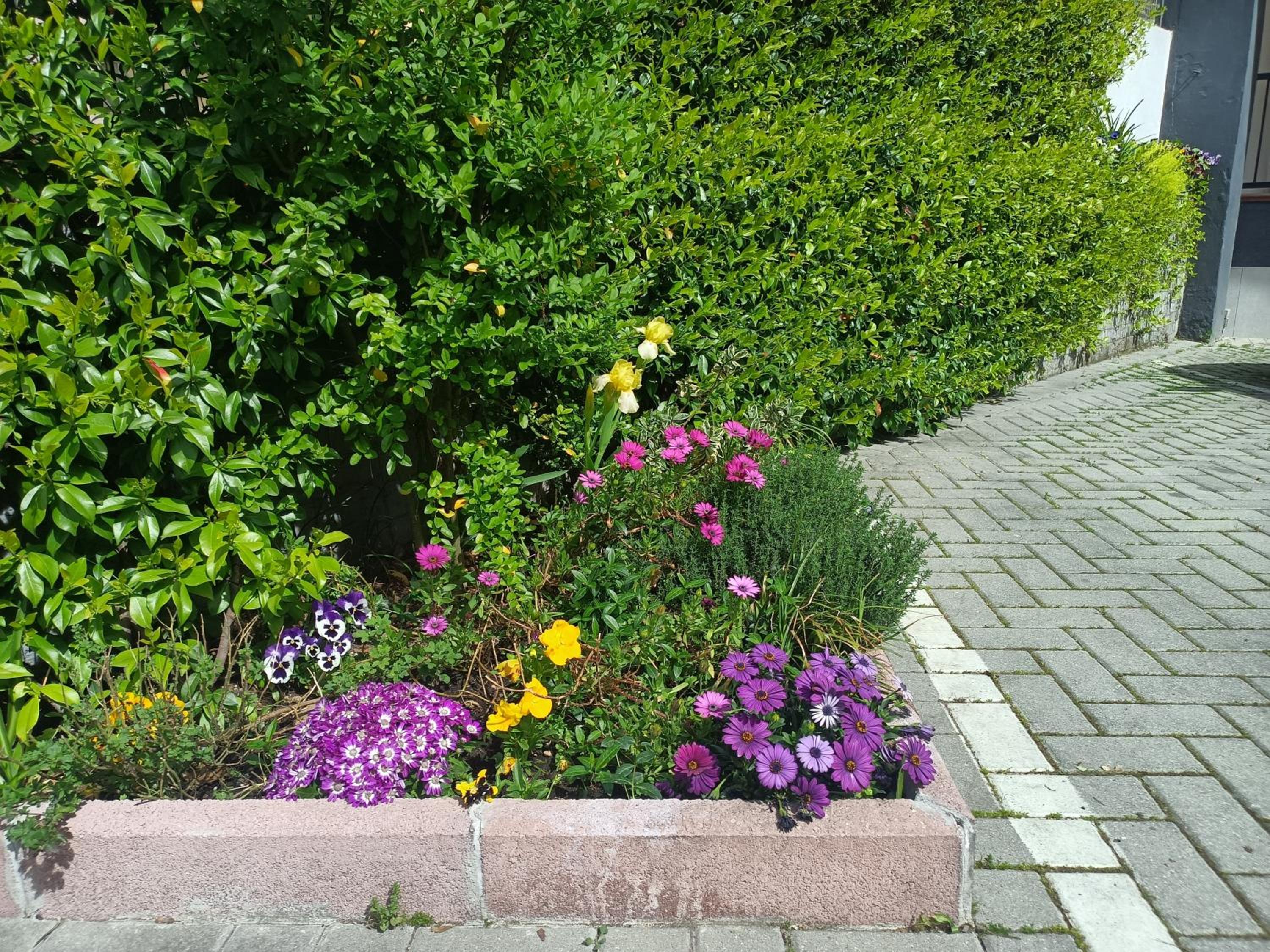 Photo 12