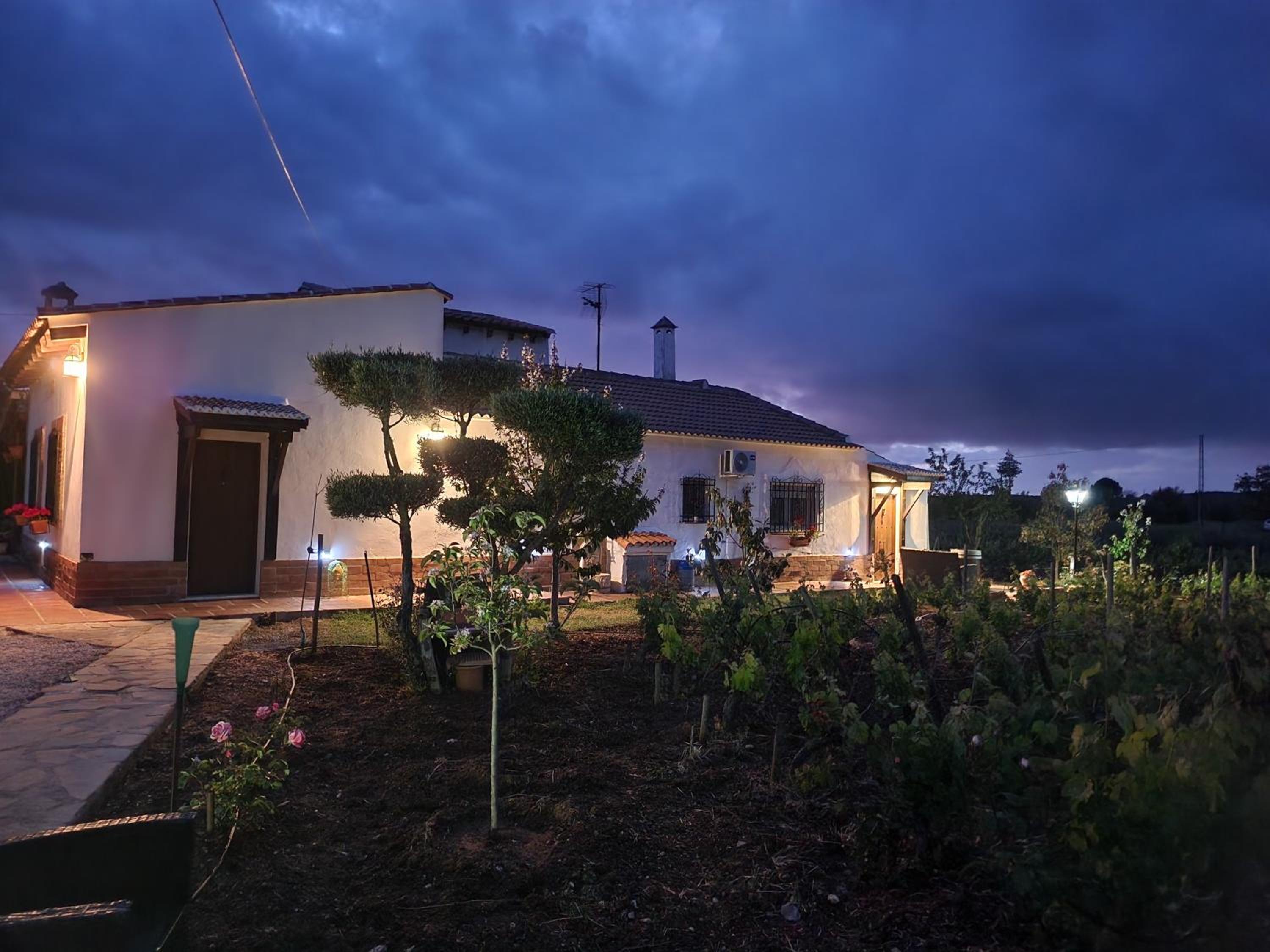 Apartamento El Baco entre viñedos
