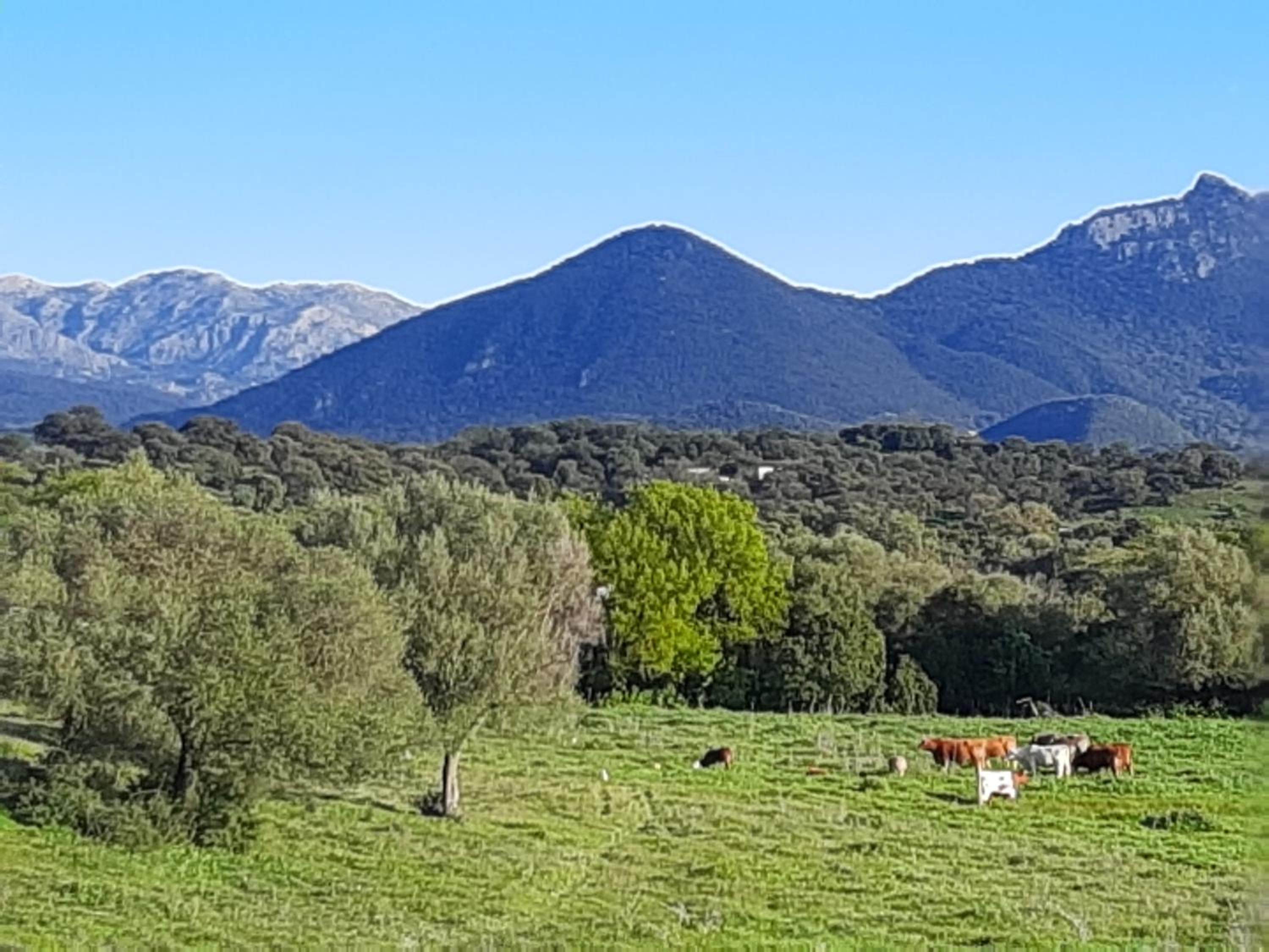 Preciosa Casa de Madera, Andalucía