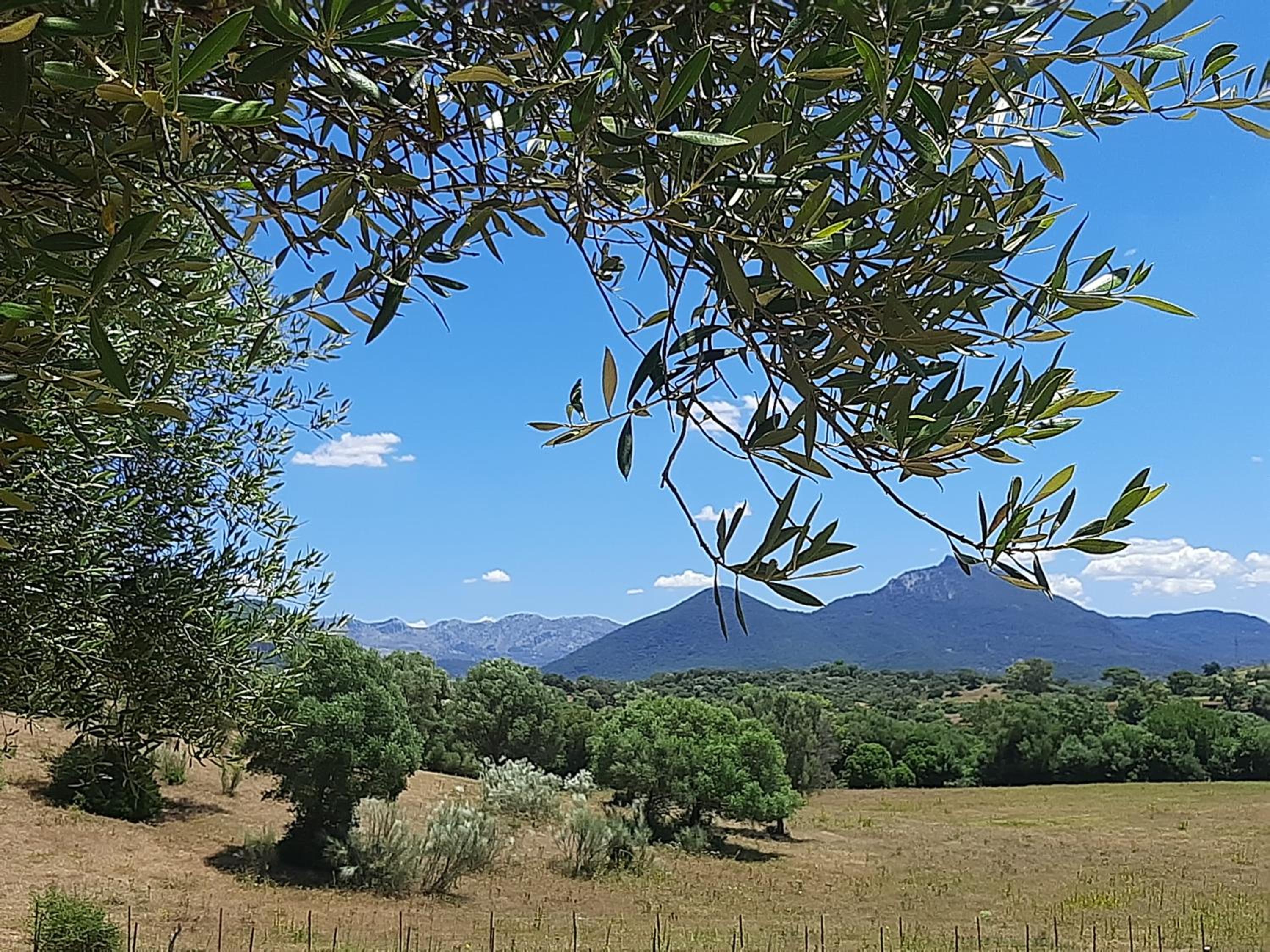 Preciosa Casa de Madera, Andalucía