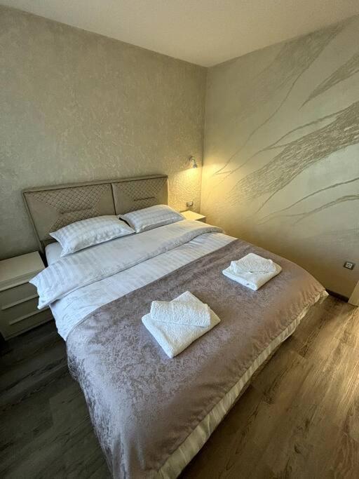 Villa Moste Ljubljana - Modern apartments with Pool, EV station & free parking view 5