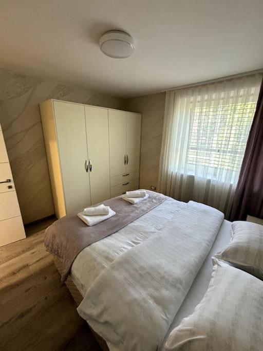 Villa Moste Ljubljana - Modern apartments with Pool, EV station & free parking view 4