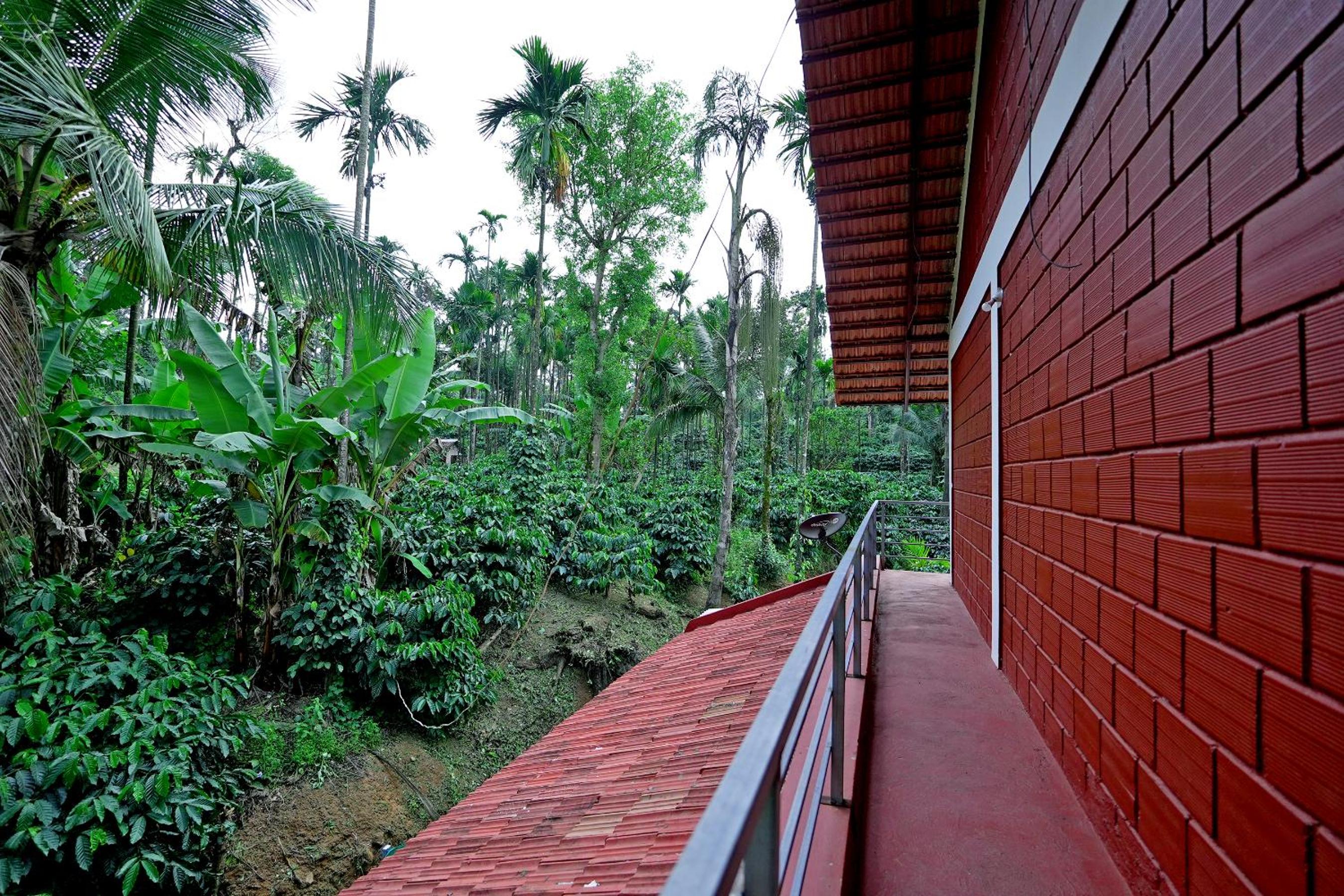 Dadad Gadde Nature Stay - Near to Falls, Trek & Home Food view 2