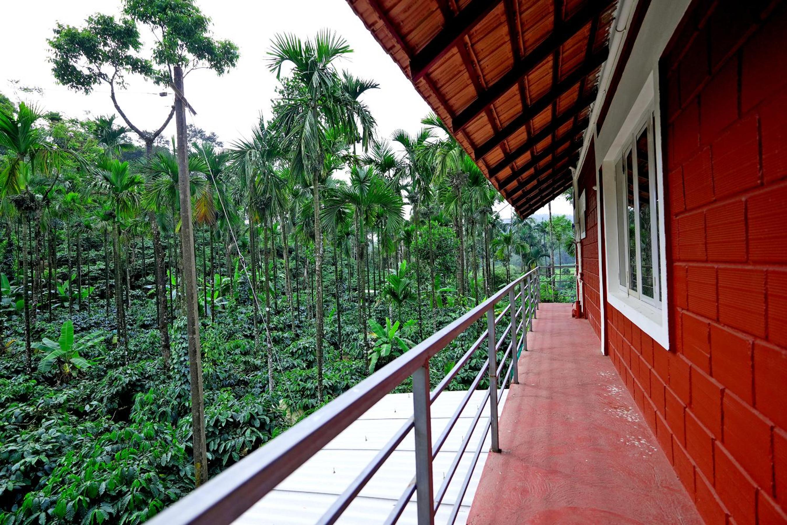 Dadad Gadde Nature Stay - Near to Falls, Trek & Home Food view 5