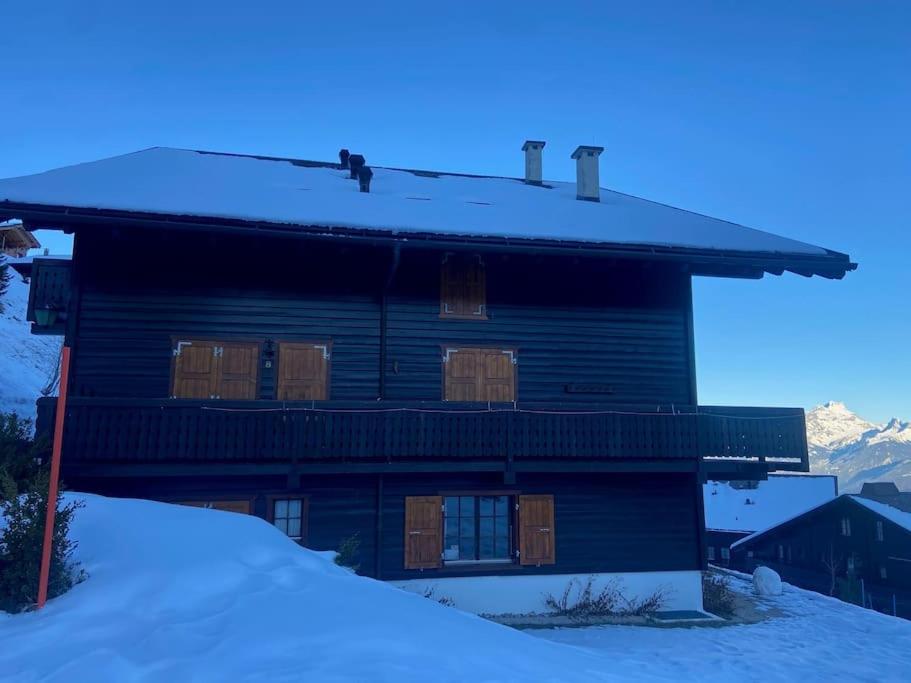 Les Bleuets K10 Duplex