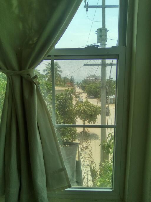 Photo 42