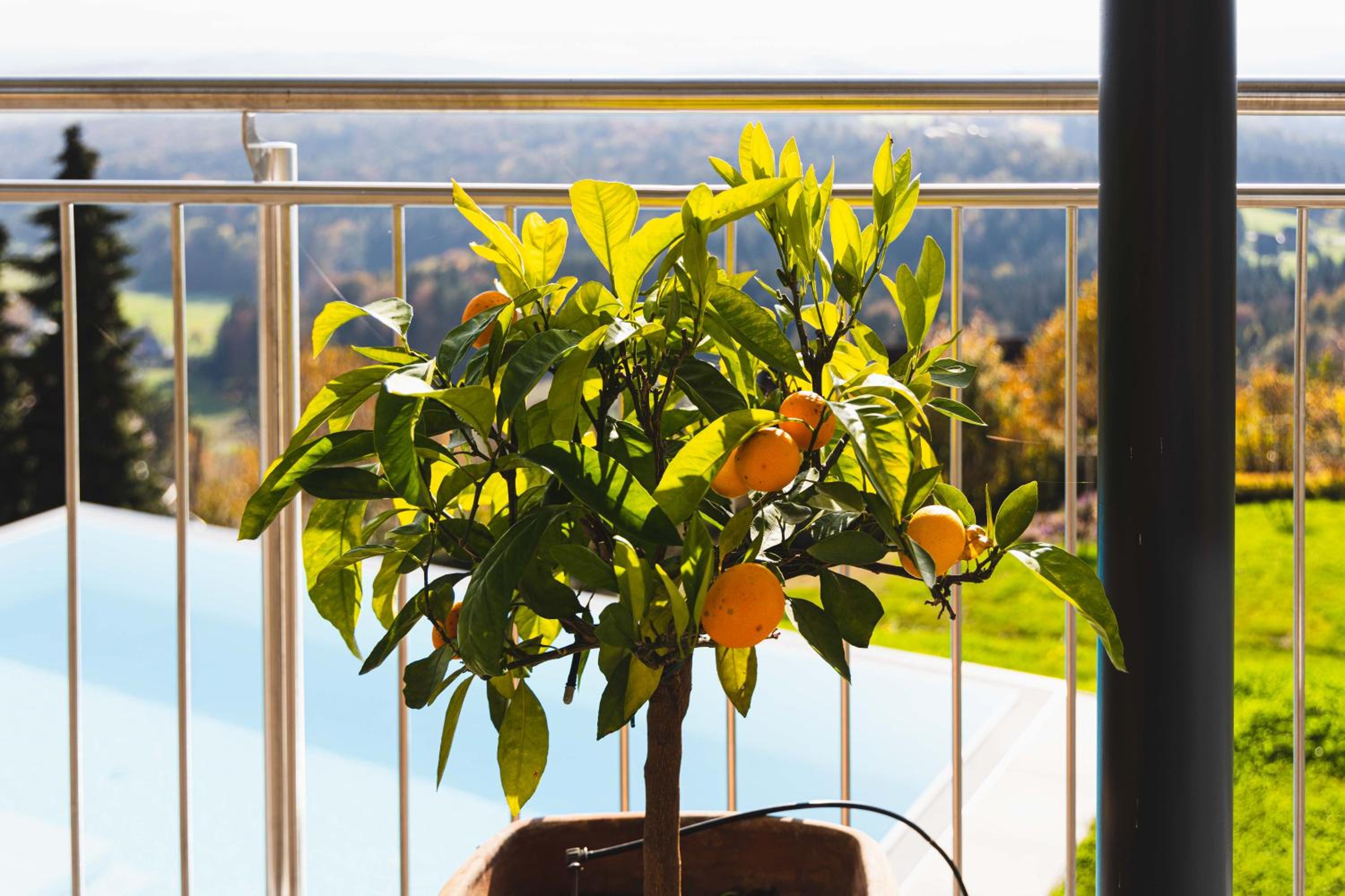 Greim15 --- ganzes Ferienhaus mit Fernsicht, Pool, Wellness