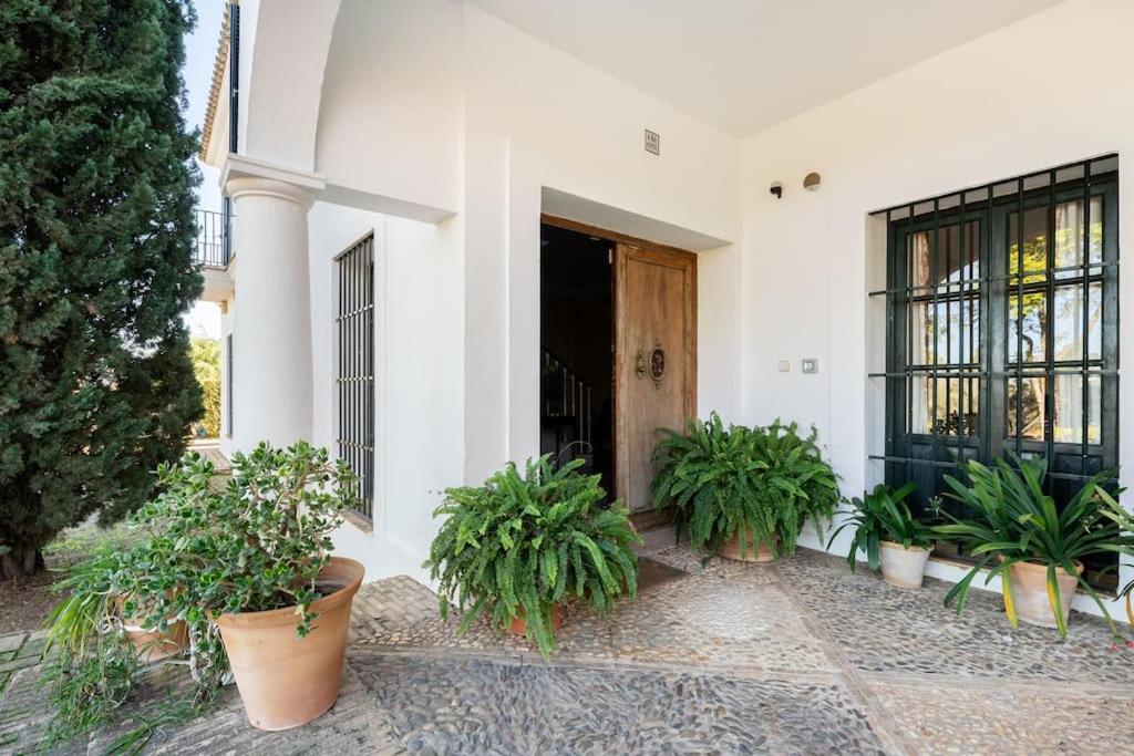 Casa del Monte Sevilla