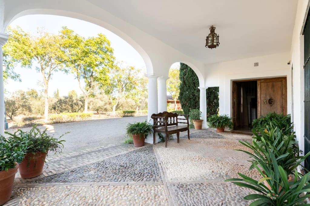 Casa del Monte Sevilla