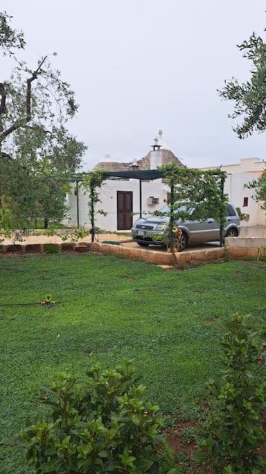 Trullo negli ulivi view 2