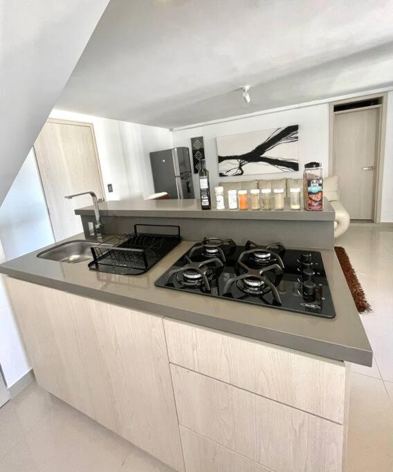 Loft de lujo,Vista panorámica