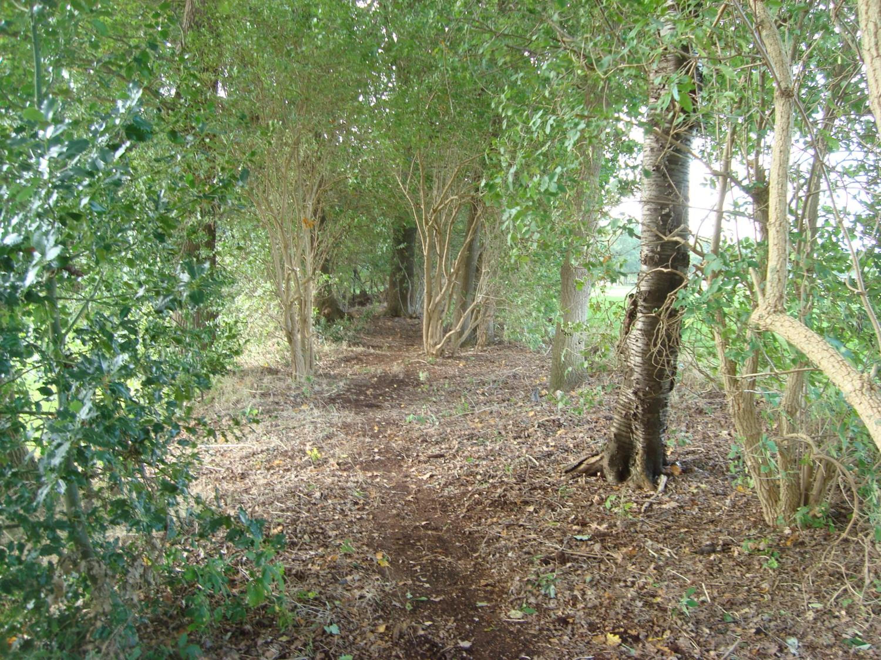 Photo 12