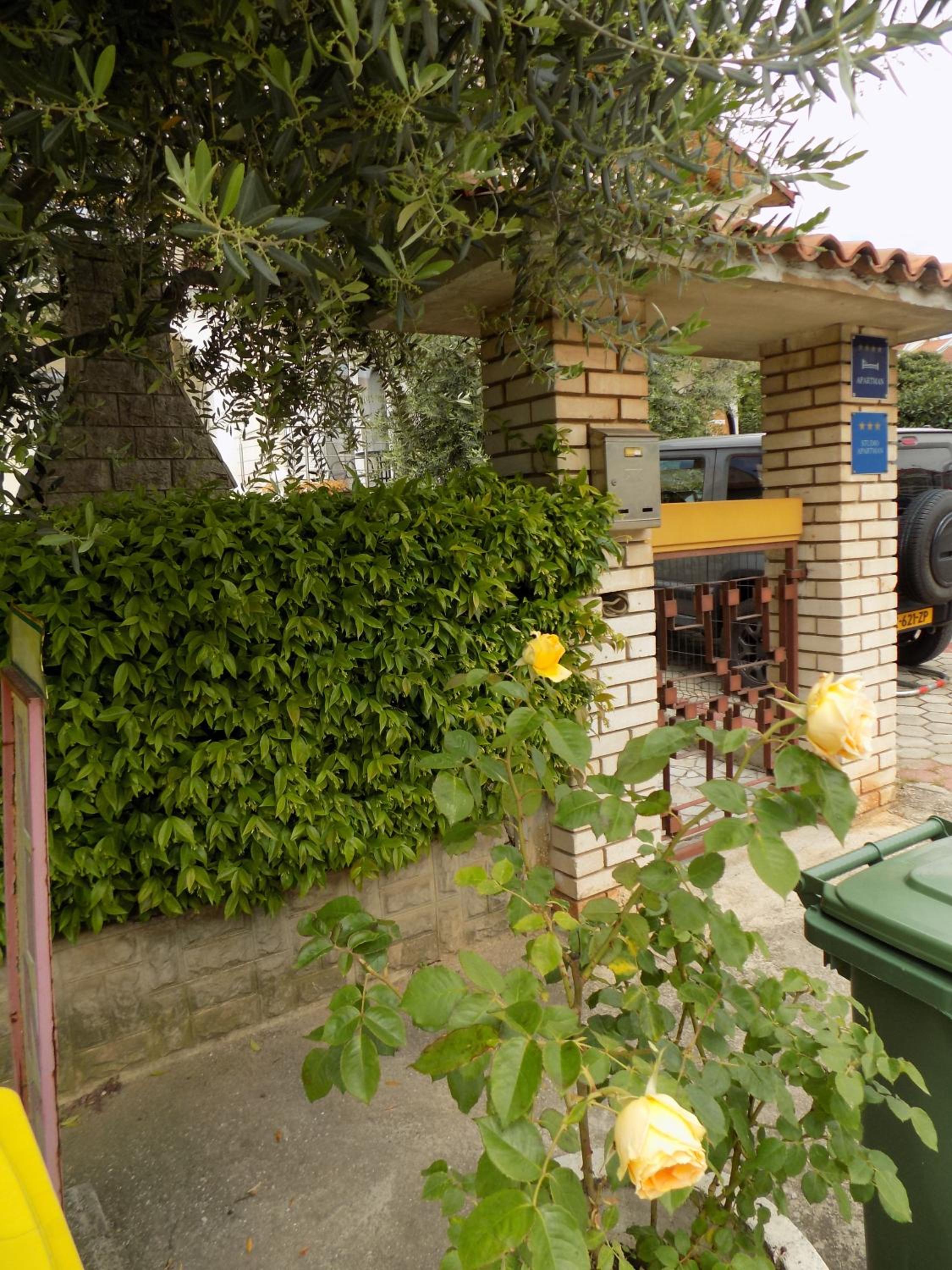 Photo 42