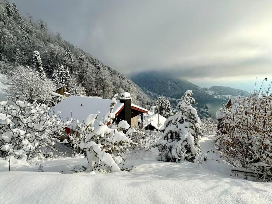 Cozy House above Lake Lucerne in car-free Vitznau Mittlerschwanden at Mount Rigi railway