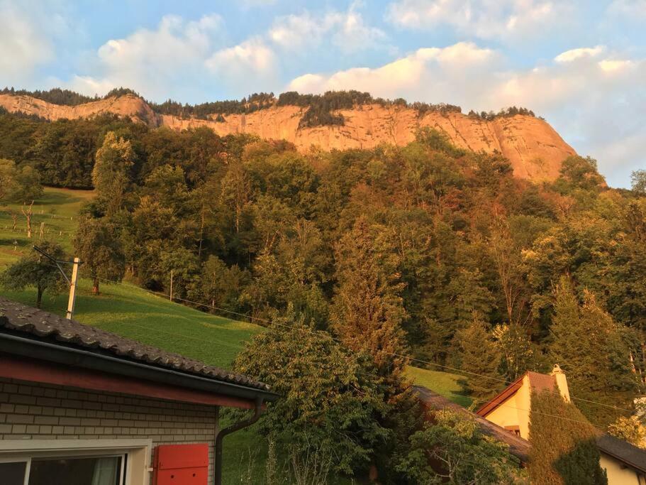Cozy House above Lake Lucerne in car-free Vitznau Mittlerschwanden at Mount Rigi railway