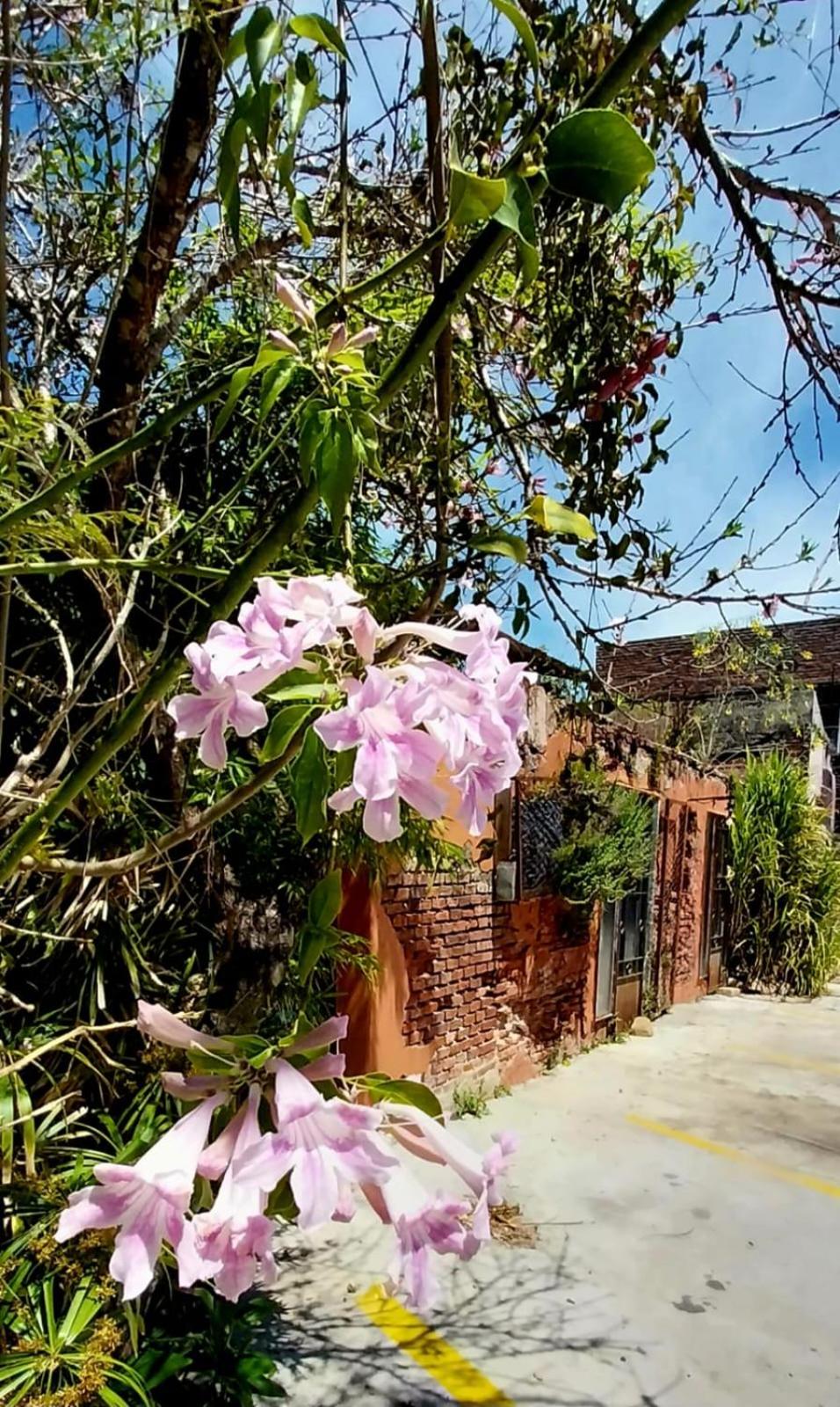 Posada Ribera del Gualeguaychu