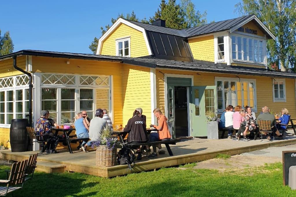 Dunderfriggan på Möja