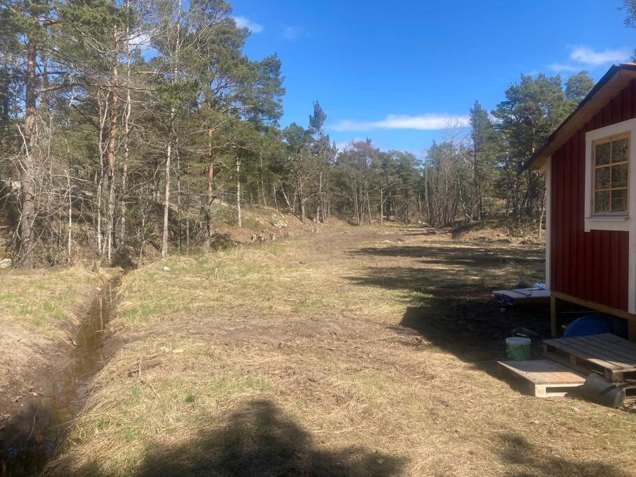 Dunderfriggan på Möja