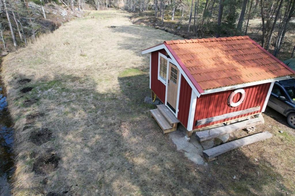 Dunderfriggan på Möja