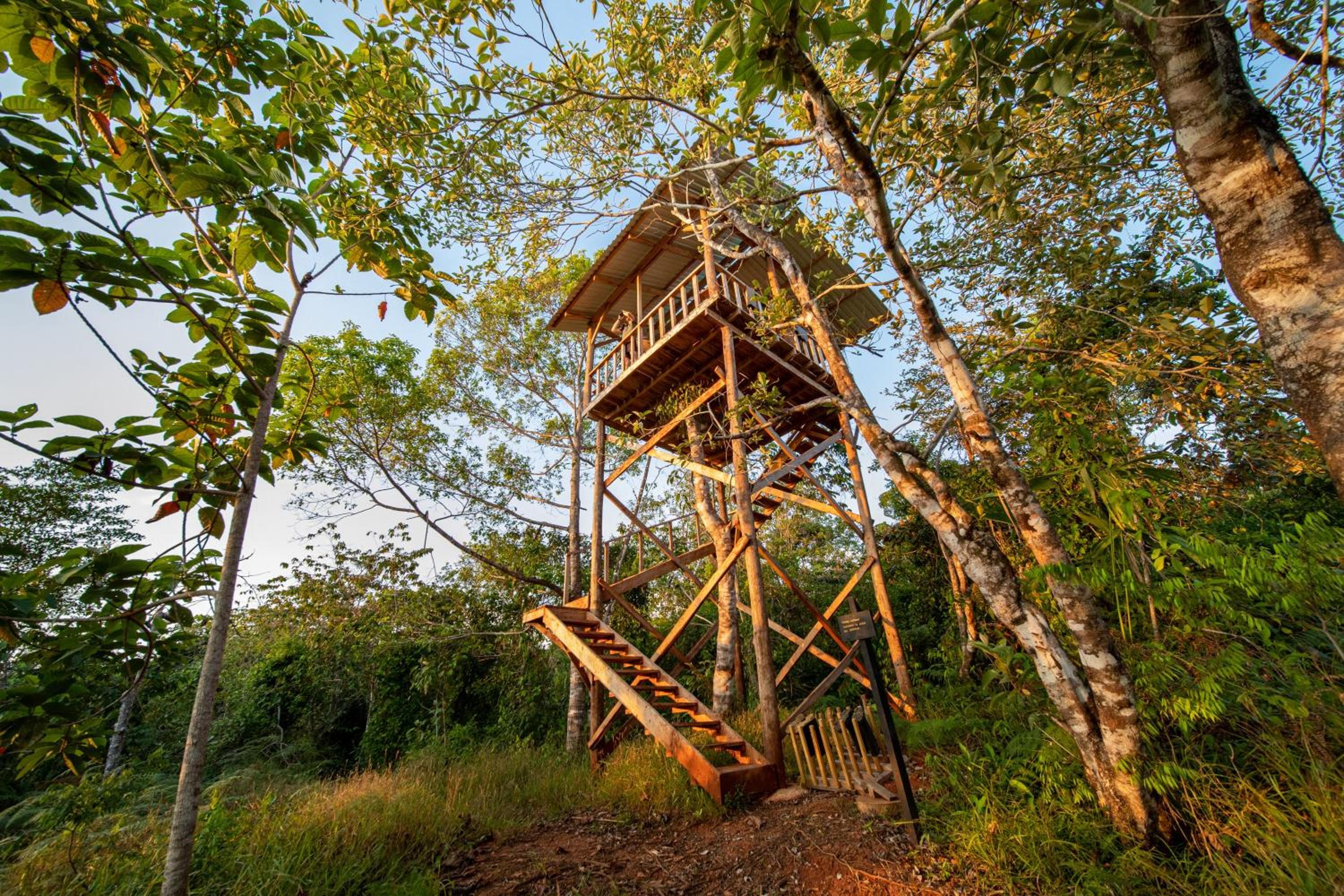 Osa Conservation Campus