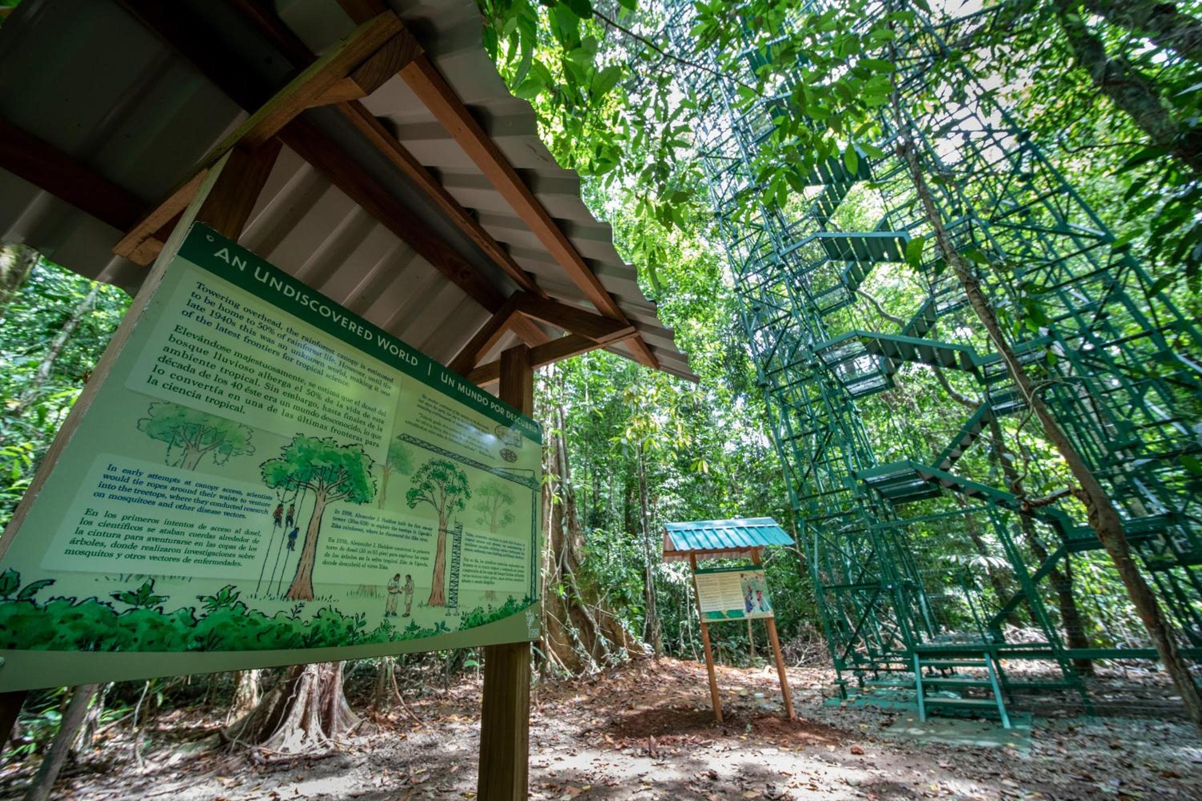 Osa Conservation Campus