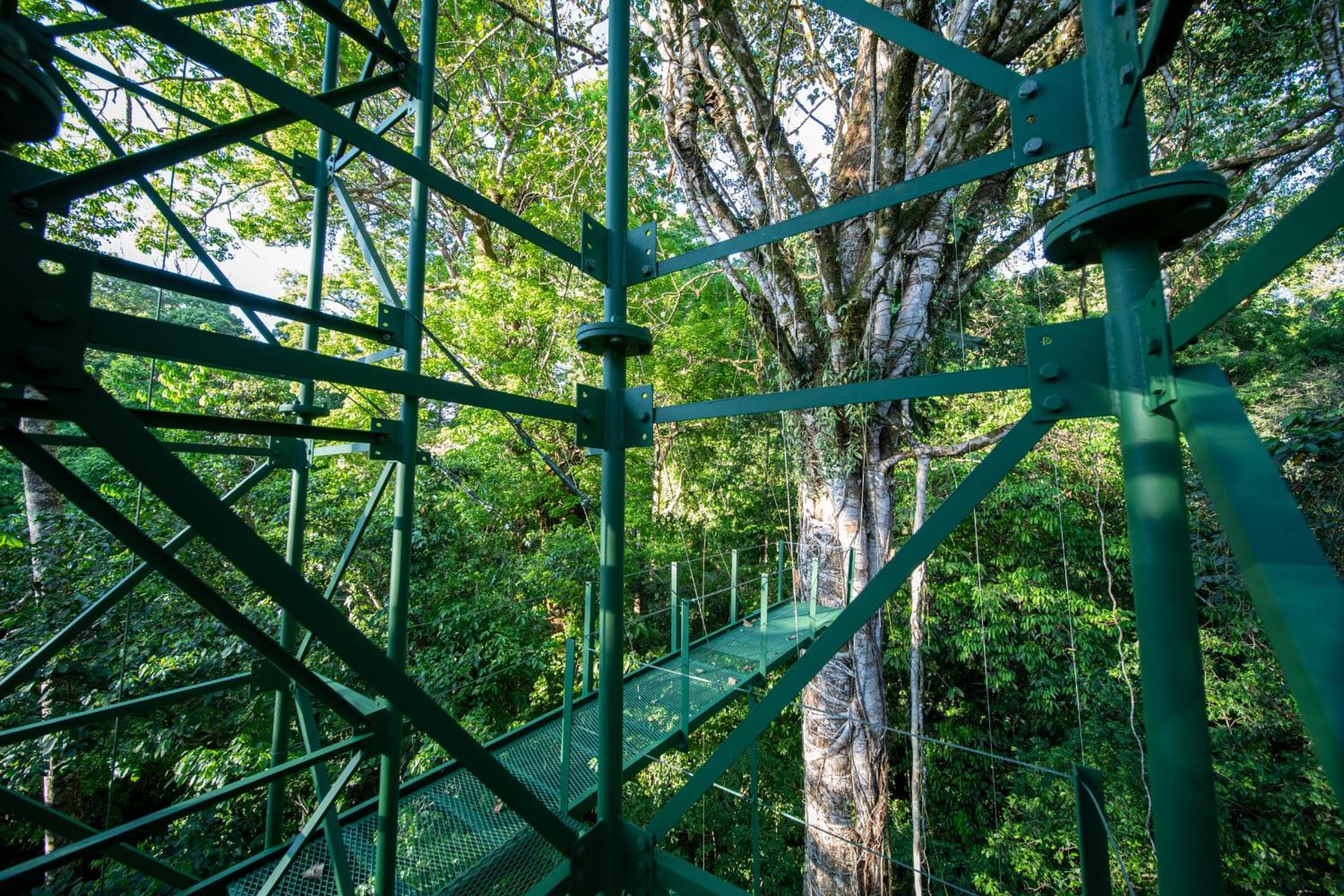 Osa Conservation Campus