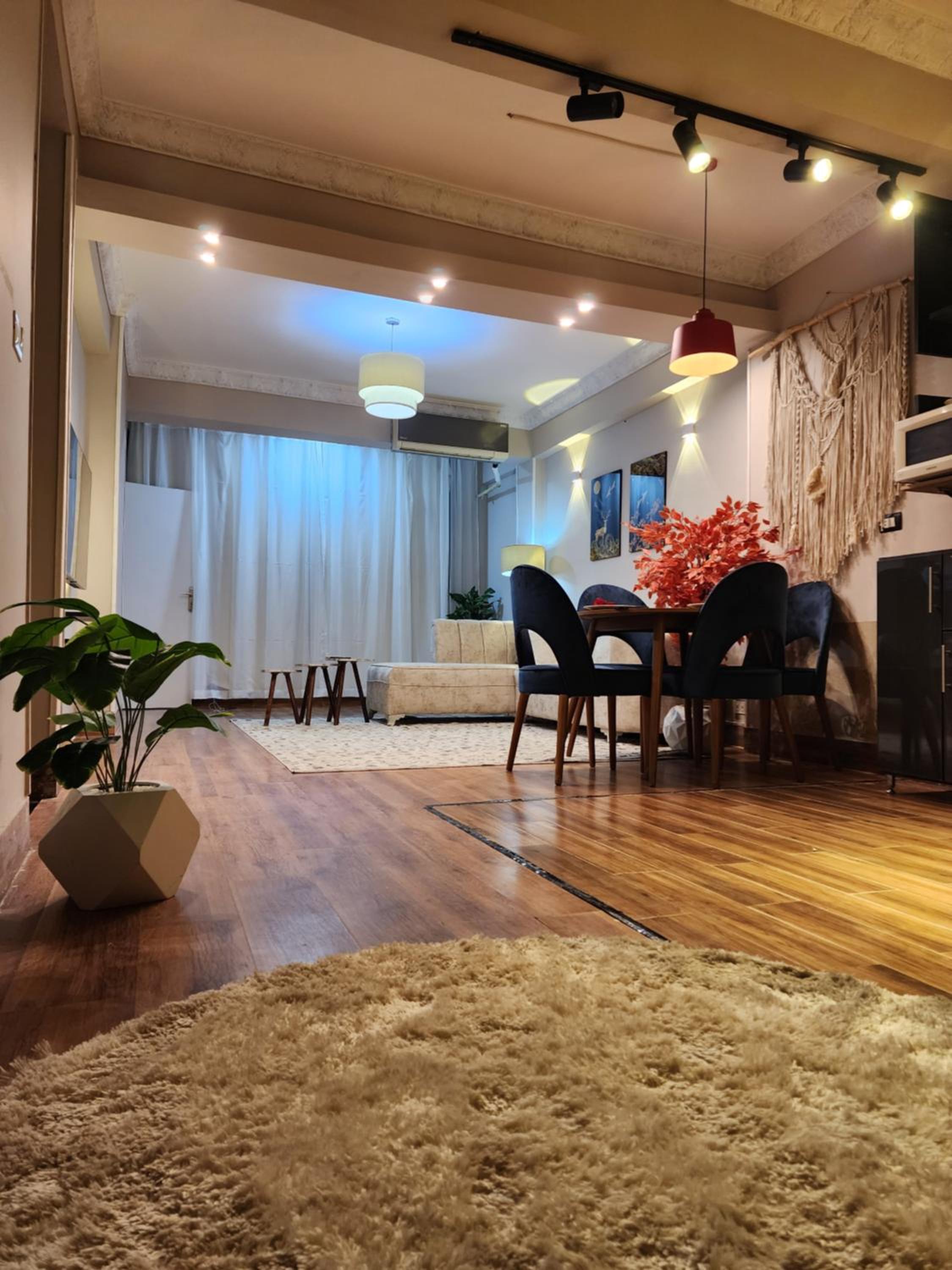 Full modern apartment