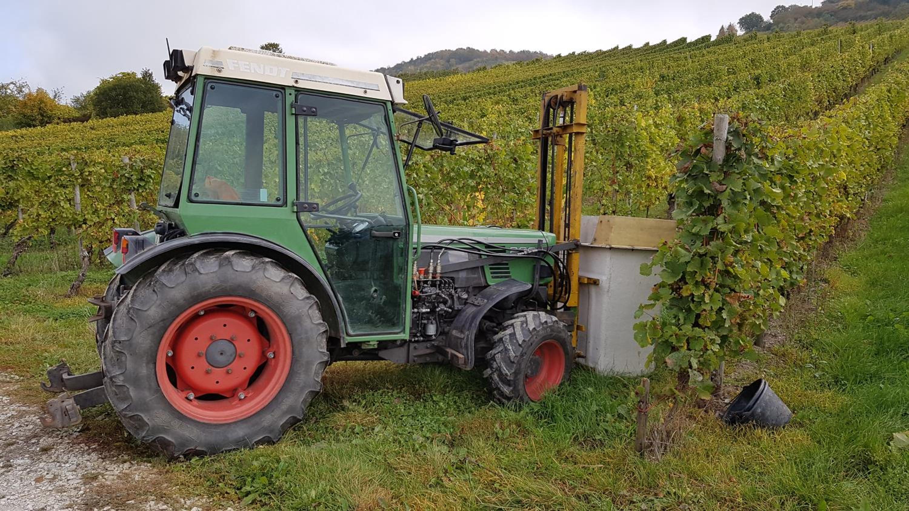 Ferien mit Wein